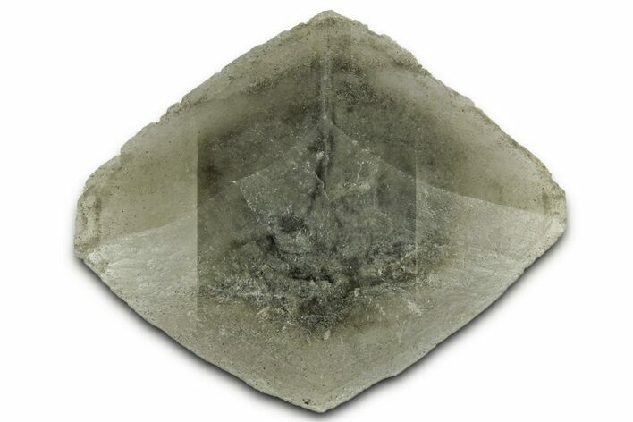 Selenite Crystal - Elder County, Utah #327005